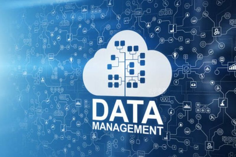 Разрастание vs. разрозненность: что больше мешает эффективному использованию данных